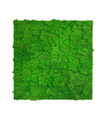 Jangal Modular Wall mospanel 52 x 52 cm - Rich Green